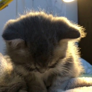 SPEED SONGS <3 | ПИКЧИ | УСКОРЕННЫЕ ТРЕКИ