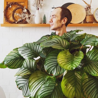 ЦВЕТЫ И ГРУНТ ОТ РУСЛАНА