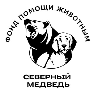 СЕВЕРНЫЙ МЕДВЕДЬ