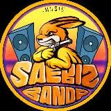 SAEBIZ MUSIC