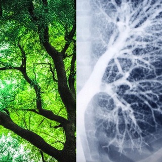 ТВОЙ ИСТИННЫЙ ГОЛОС