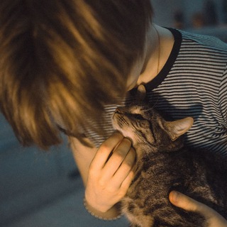 ПРИЮТ ДЛЯ КОШЕК RESCUE_WITH_LOVE