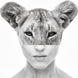 ВСЁ КАК У ЗВЕРЕЙ / РАДИО ТИМОНОВА