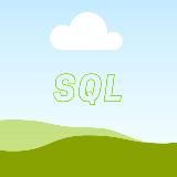 SENIOR SQL DEVELOPER