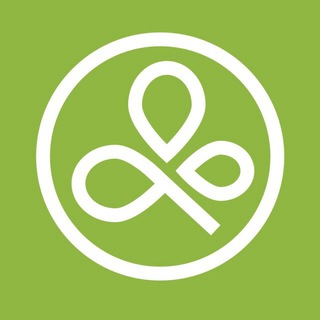 AROMASHKA — ЭФИРНЫЕ МАСЛА