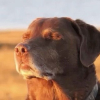 JUSTDESIGN | ГРАФИЧЕСКИЙ ДИЗАЙН