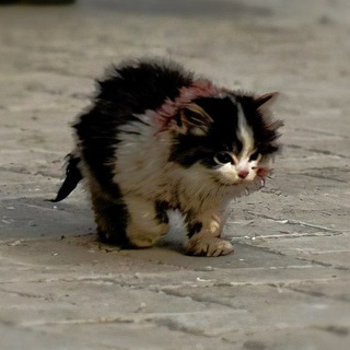 ВЫЖИТЬ ПО АКЦИИ