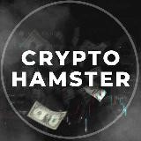 CRYPTO HAMSTER