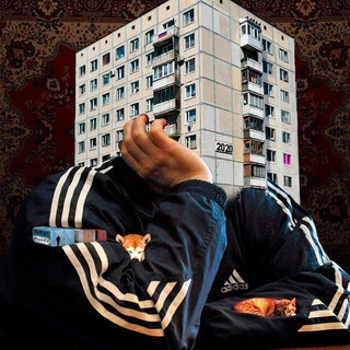 ДУМЕР. ПОСТСОВЕТСКИЙ ВАВИЛОН