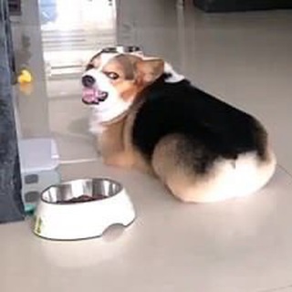 ЗАКУСКИ В СТОЛ