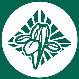 «ИРИС» ЦЕНТР АРОМАТЕРАПИИ