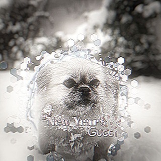 ХВОСТ АЛАБАЯ