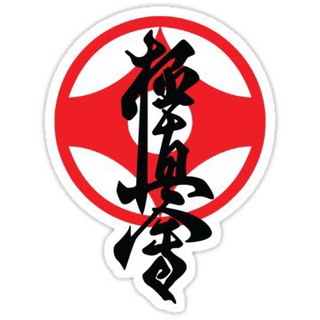 КИОКУШИНКАЙ КАРАТЕ | KYOKUSHINKAI