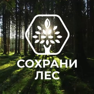 СОХРАНИ ЛЕС