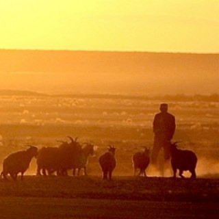 МОНГОЛЬСКИЙ ЧАТ