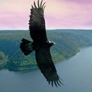 ПОЛИТКУРАЙ