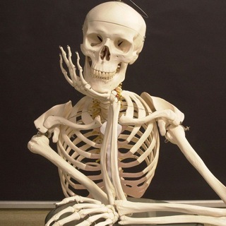 ТРЕНЕРСКАЯ (ЧАТ FPA)