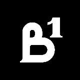 ВОРОНЕЖ №1