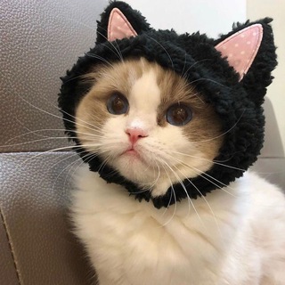 ♡КᴏʍɸᴏᴩᴛНЫЙ ᴀᴋᴋᴀУНᴛ♡