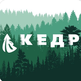КЕДР - ФАБРИКА СТОЛЕШНИЦ