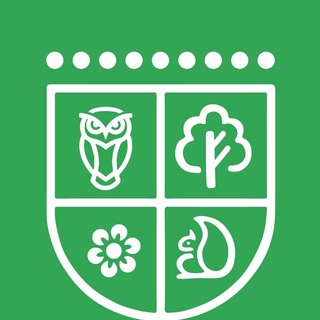 ЗАЩИТА ЛЕСОВ МОСКВЫ