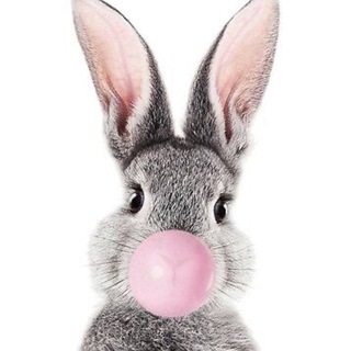 STORIES, REELS В НОВЫХ РЕАЛИЯХ