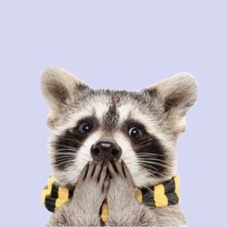 ЖИВОТНЫЕ И ДОМАШНИЕ ПИТОМЦЫ