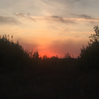 МУЗИКАЛЬНИЙ ПОШУК