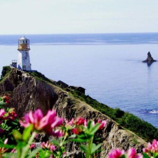 МАТЕМАТИКИ ПРИМОРЬЯ