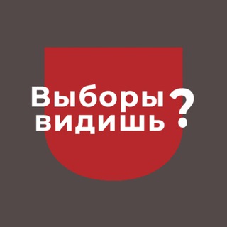 ВЫБОРЫ ВИДИШЬ? | ЗЕРКАЛО ПОЛИТИКА