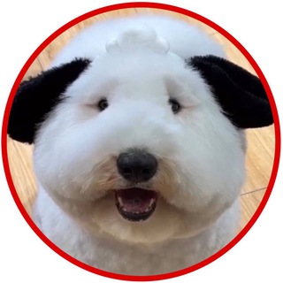 МИЛОТА.ХВОСТА