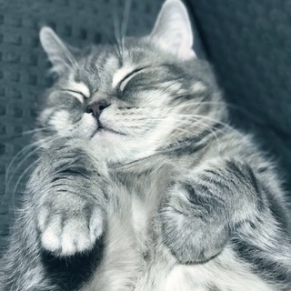 МАСТЕР ПЕРА