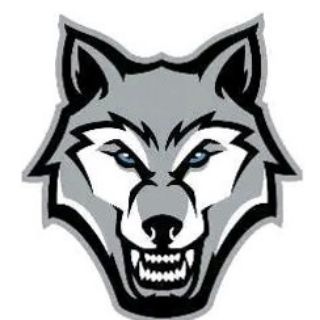 MEDIA WOLF