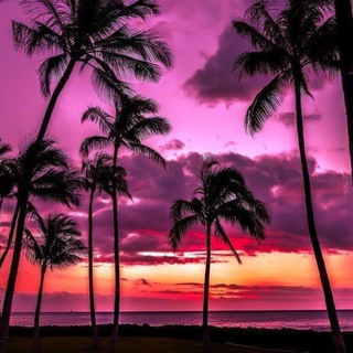 МУЗЫКА 2024 | ПЕСНИ | ТРЕКИ