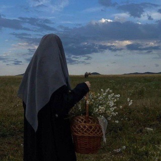 СИНТЕМЕ ДОГ ر