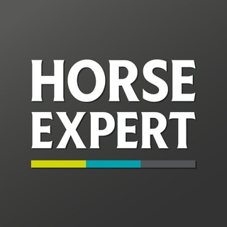 HORSE EXPERT MAGAZINE