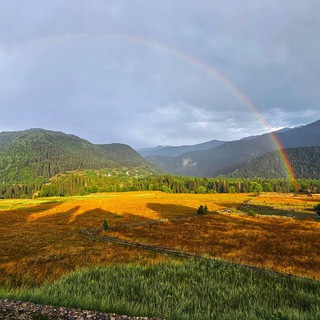ЭНЦИКЛОПЕДИЯ СВАНЕТИ