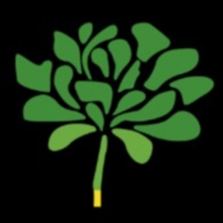 INSTITUTO VELASCO HOF