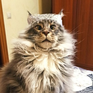 АДЕКВАТНЫЙ ГЕОГРАФ