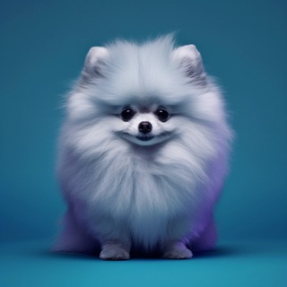 ПИТБУЛЬЧИК | НЕЙРОСЕТОЧКИ