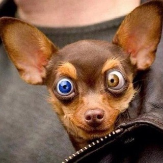 РАЗМЫШЛЕНИЯ ДИВАННОГО КРИТИКА