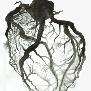ENDOVASCULAR.TEAM