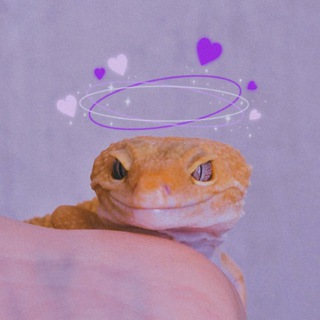 ДНЕВНИК ЭУБЛЕФАРА