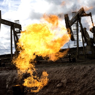 СЫРЬЕВАЯ ИГЛА