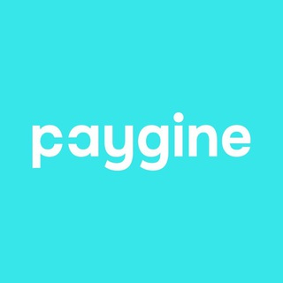 PAYGINE