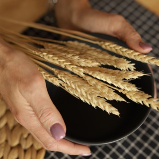 РЕЦЕПТЫ #БЕЗГЛЮТЕНА