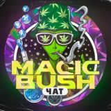 MAGIC BUSH ЧАТ