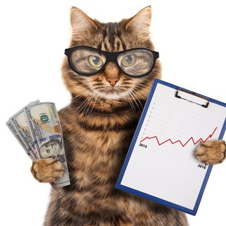 КОТ С УОЛЛ СТРИТ