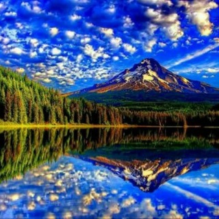 УДИВИТЕЛЬНЫЕ ФОТО И ВИДЕО