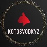 KOTOSVODKYZ